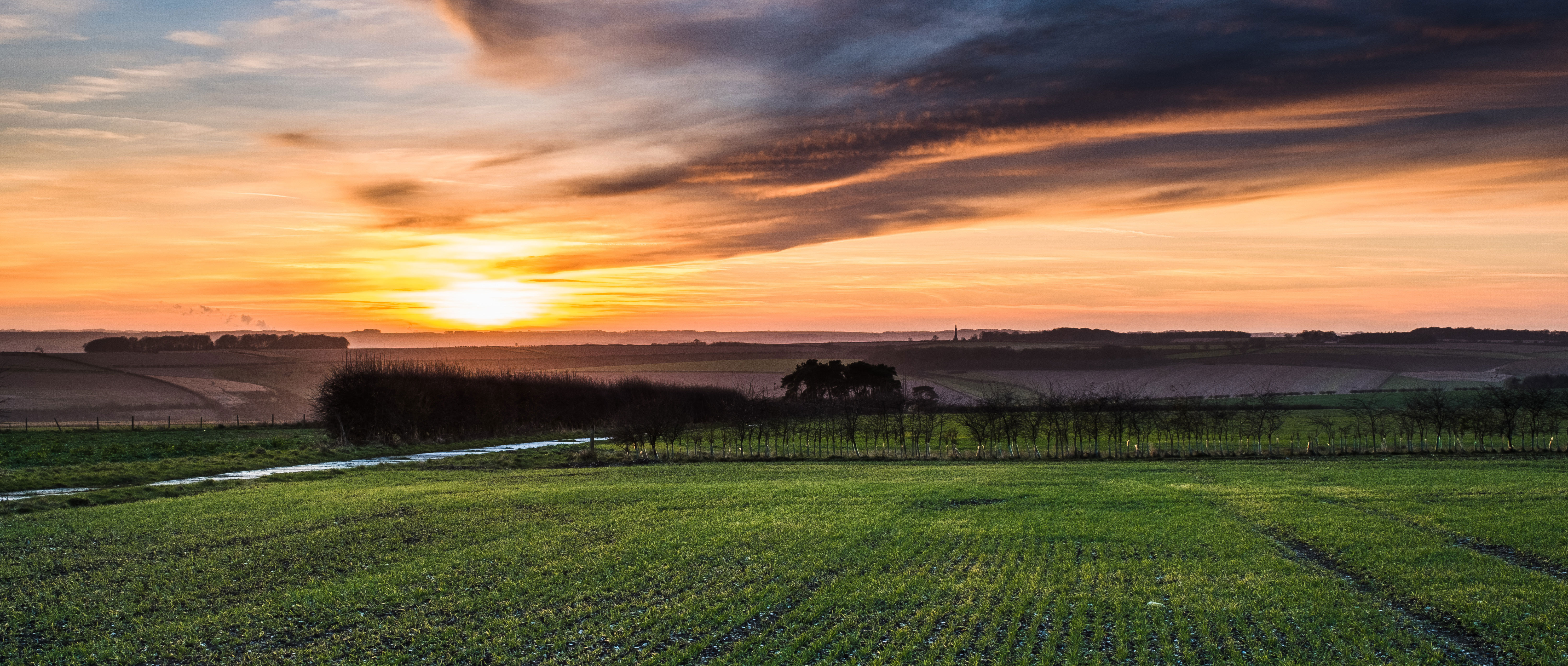 Crops & Crops